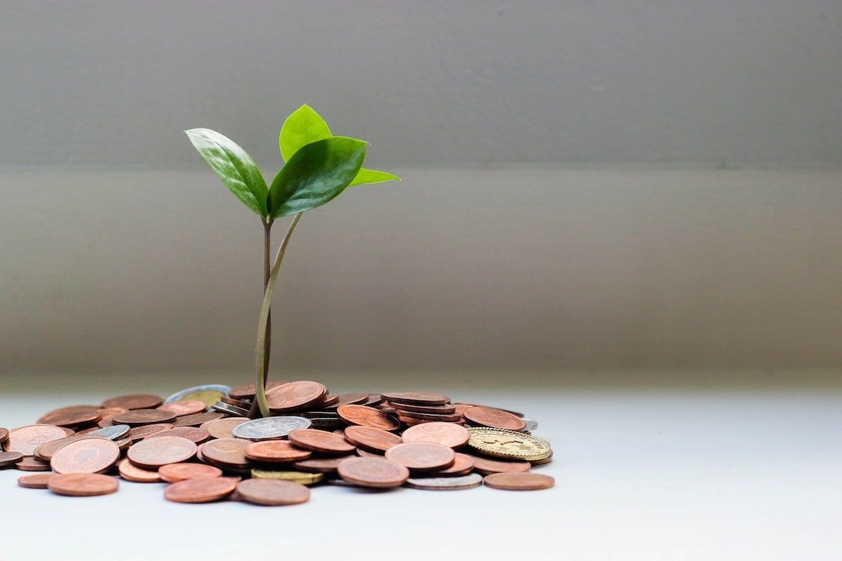 maximize earnings